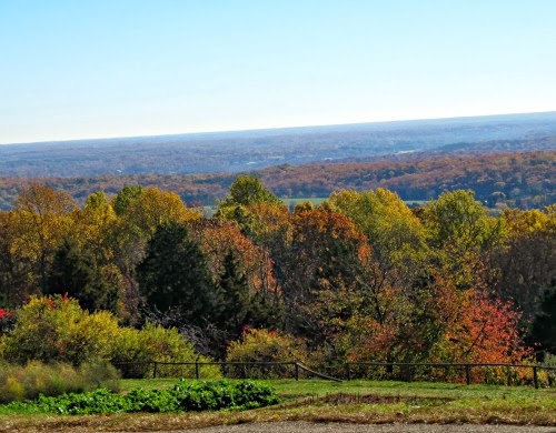 Colorful fall trees on the top of a mountain.