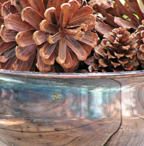pinecones in a silver bowl.