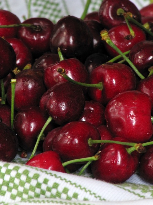 cherries laying on a green and white towel