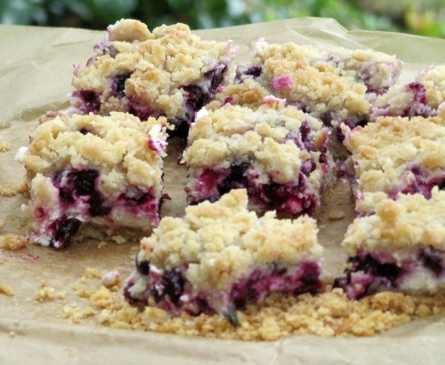 blueberry-cheesecake-bars-graham-cracker-crumb-crust,