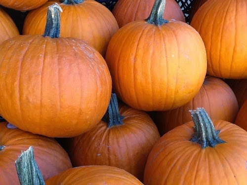 Pumpkin Love Pumpkin Recipes