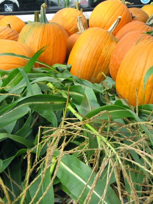 Happy Halloween!