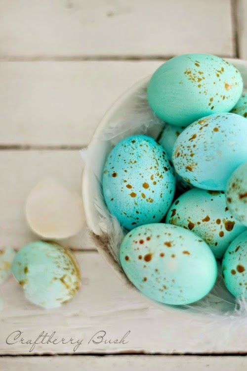 Golden Specked blue eggs. 