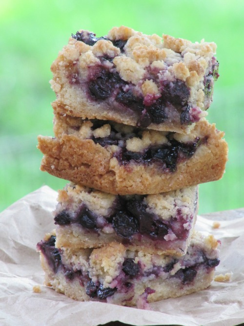 Blueberry Crumb bars on a stack. 