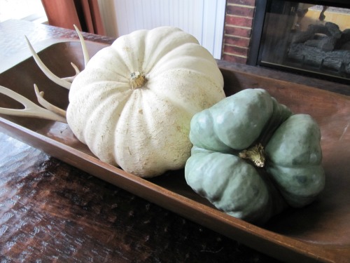 Just Curious…Do You Decorate for Fall?