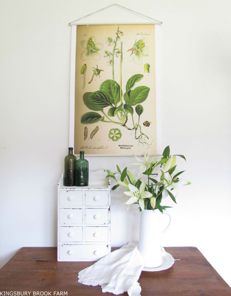 Botanical Tutorial from Kingsbury Brook Farm