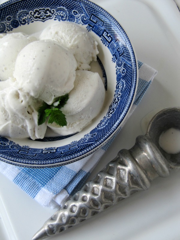 No churn vanilla bean ice cream, 10 No-Churn Ice Cream Recipes.