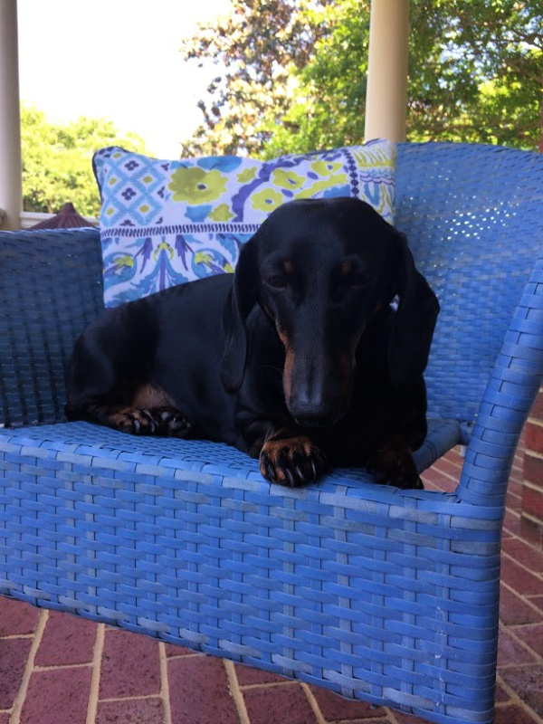 Just Curious…How is Your Summer?