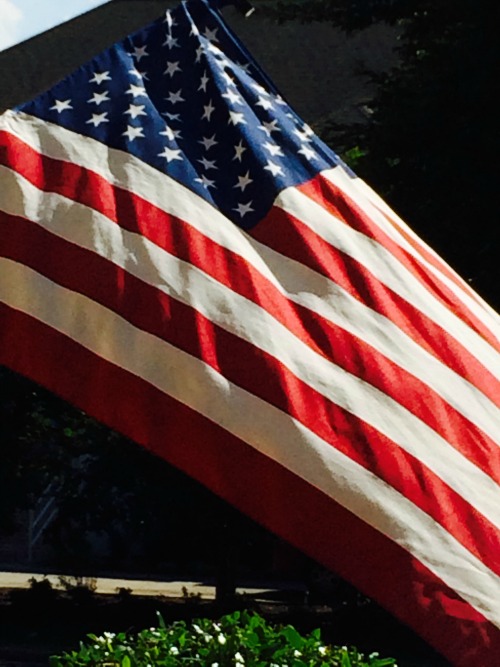 Veterans Day