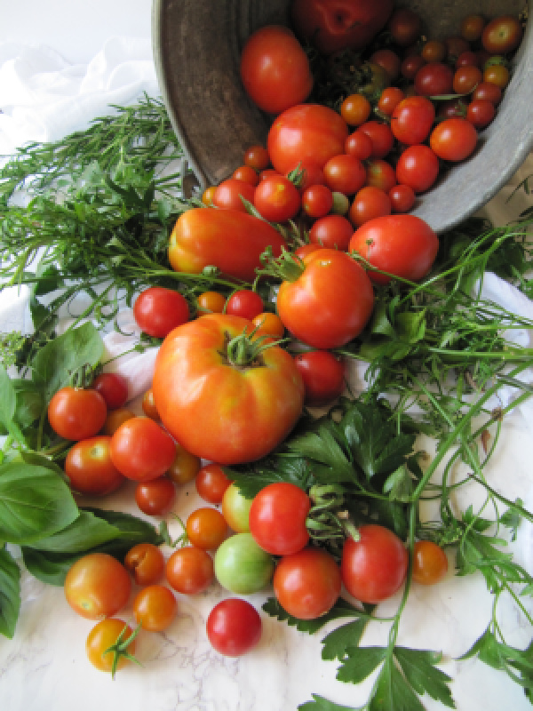 Garden-tomatoes