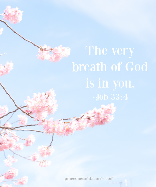 Job 33_4 The Very Breath of God is in you overlay of cherry blossoms.