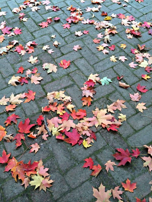 Fall