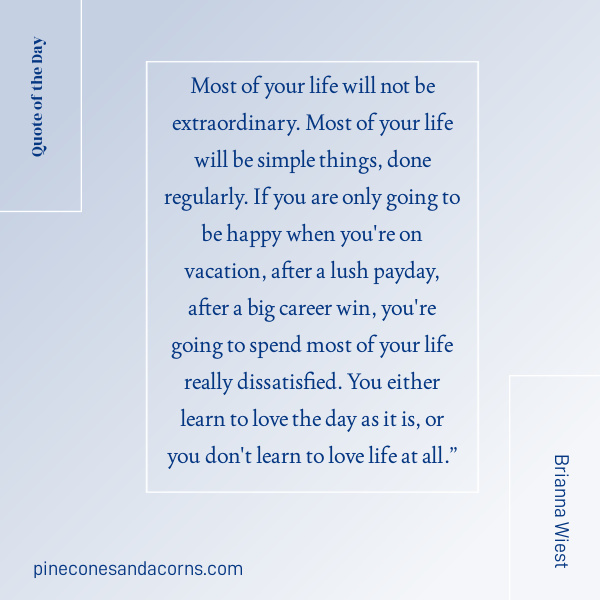Brianna Wiest Quote Most of your life will not be extraordinary.