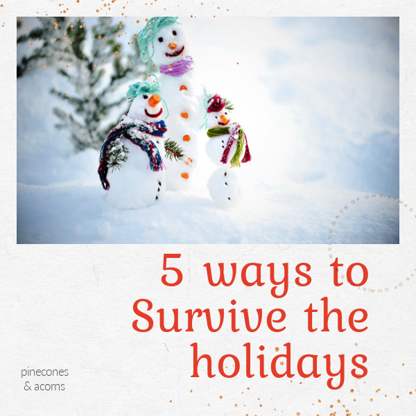 5 ways to survive the holidays
