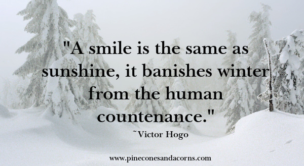 A smile is the same and sunshine it banishes winter from the human countenance victor Hugo quote