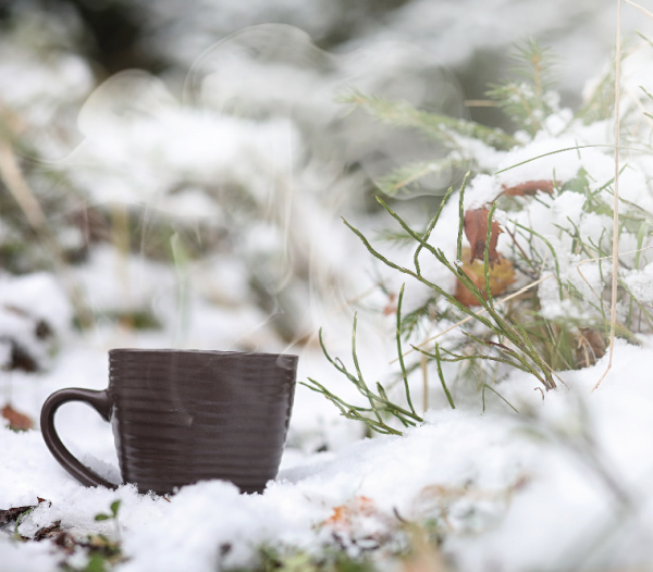 brown mugs of chocolate in the snow