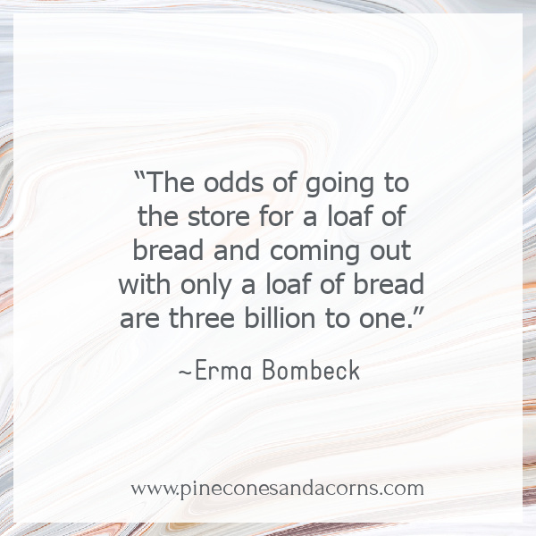 “The odds of going to the store for a loaf of bread and coming out with only a loaf of bread are three billion to one.”