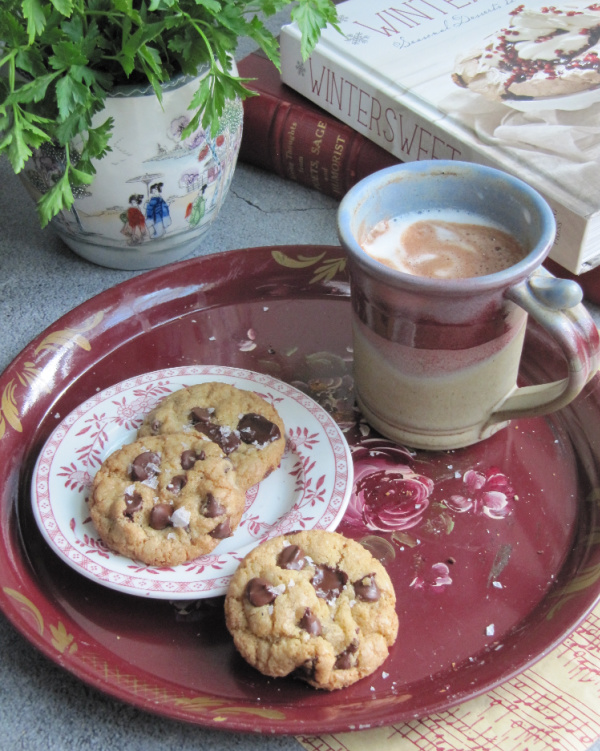Winter sweets cookbook chocolate chip cookies and hot chocolate