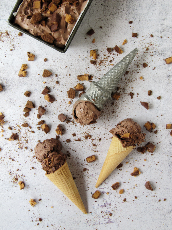 No-Churn-Chocolate-Peanut-Butter-Cup-and-Cookie-Ice-Cream-pinecones-and-acorns