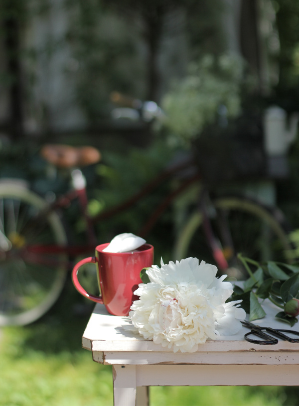 white peony on a white table with a red cup