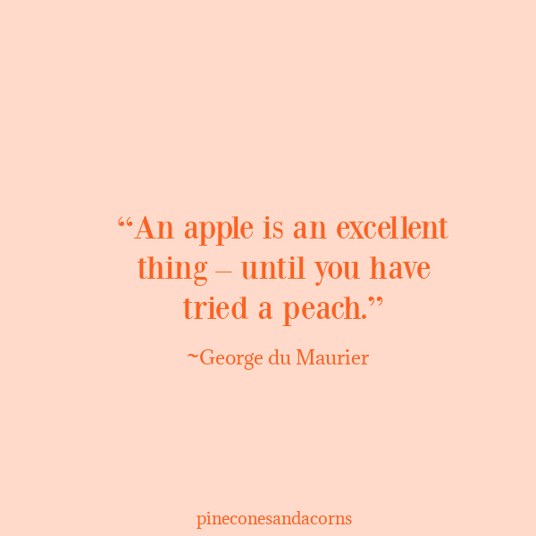 Quote An apple is an excellent things until you have tried a peach George du Maurier