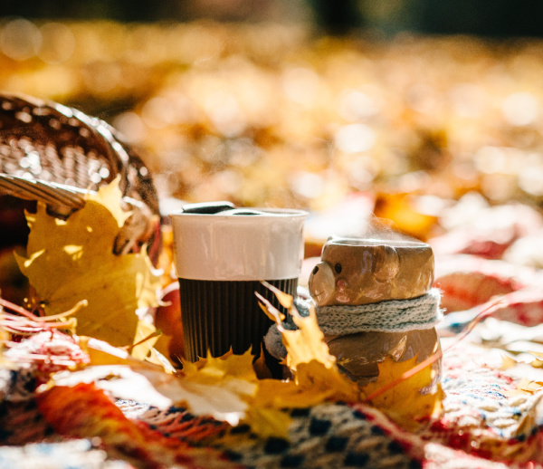 weekend meanderings two cups on fall leaves