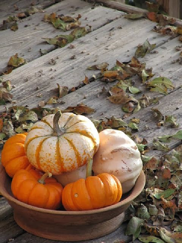 pumpkins and gourds in a wood bowl with fallen leaves on a weathered deck.