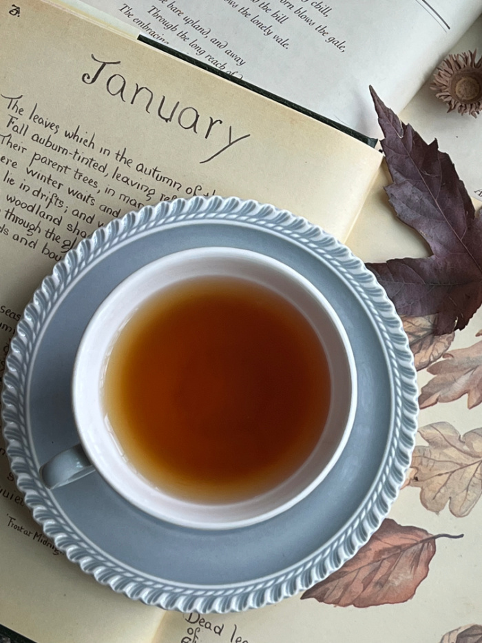 5 Ways to Make Your House Cozy this Winter and more on Weekend Meanderings