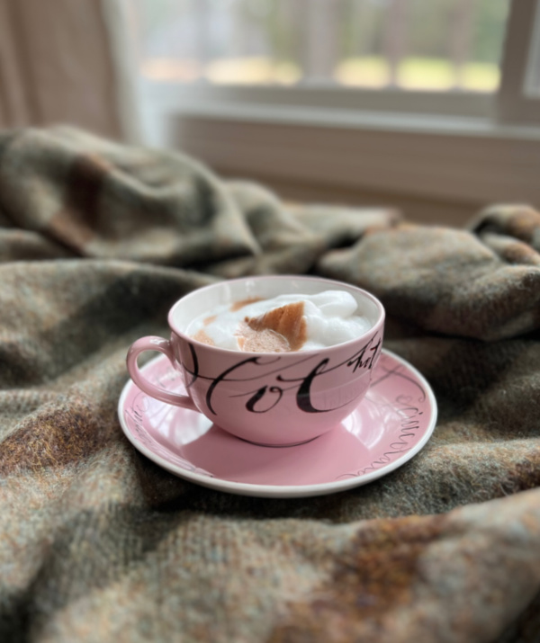 hot chocolate in a pink cup on a plaid blanket.