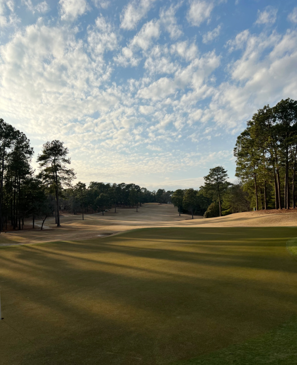The View from on the golf course. 