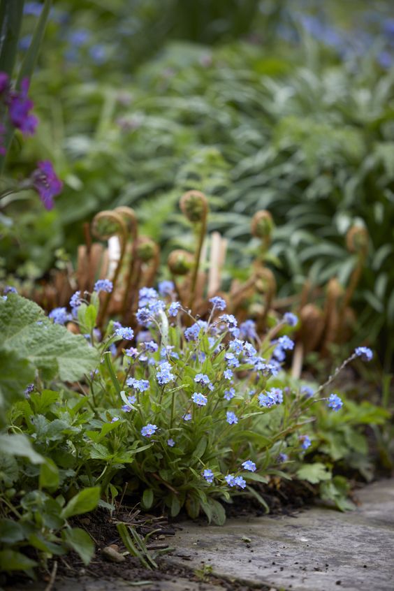 Kelmscott Manor garden.