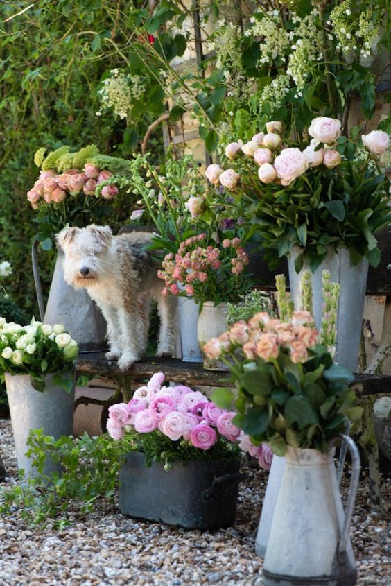 French Blooms