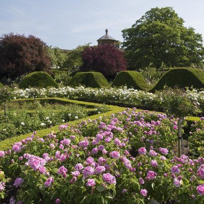 Houghton House gardens. 