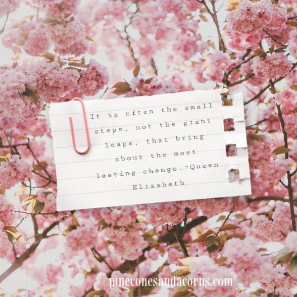 It is often the small steps, not the giant leaps, that bring about the most lasting change. ~ Queen Elizabeth