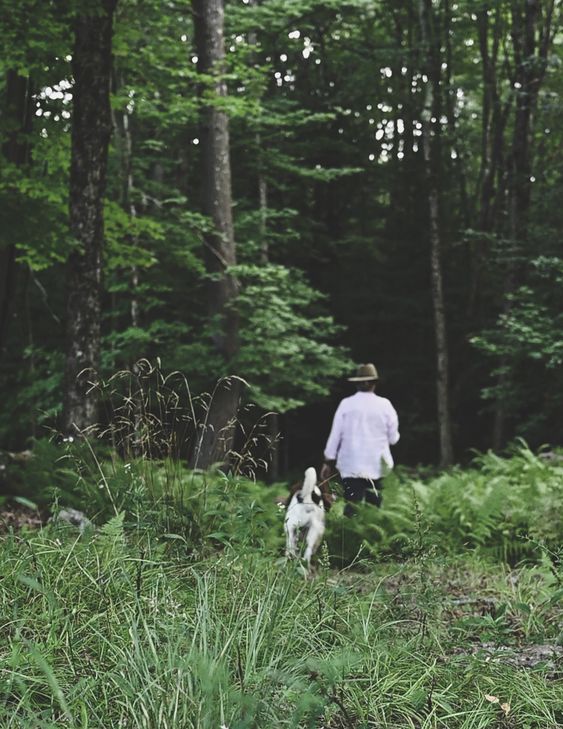 A woman with her back to the camera walking a dog in the woods.
