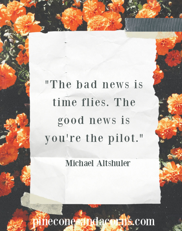 Quote The bad news is time flies. The good news is you're the pilot overlay on orange flowers. 