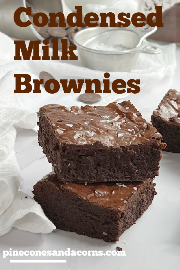 2 homemade brownies on a stack.