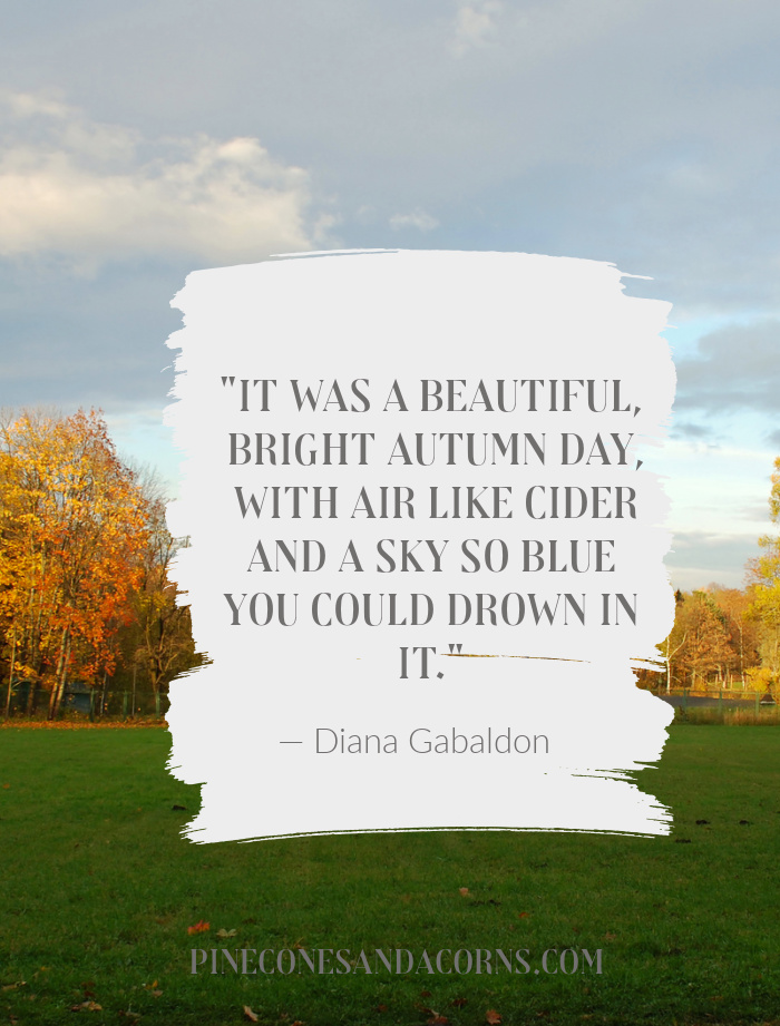 "It was a beautiful, bright autumn day, with air like cider and a sky so blue you could drown in it." — Diana Gabaldon.