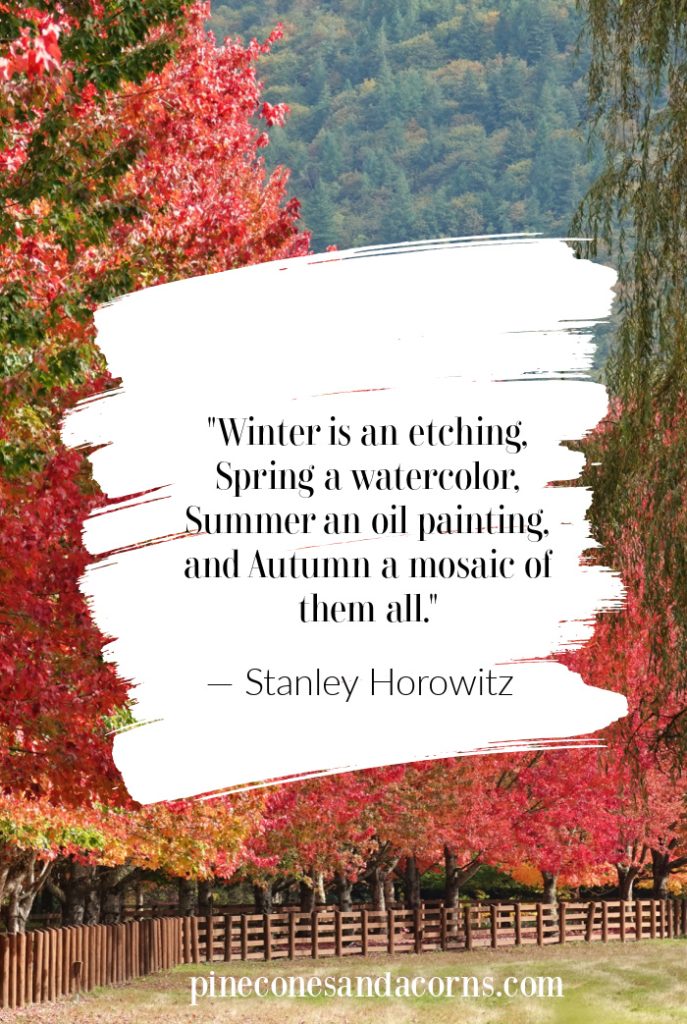 "Winter is an etching, Spring a watercolor, Summer an oil painting, and Autumn a mosaic of them all." — Stanley Horowitz overlay on Fall leaf photo.