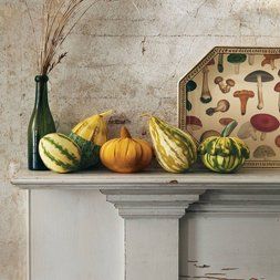 Mushroom tray on a mantle with some gourds.
