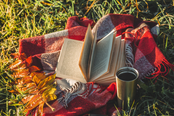 Friday Favorites a plaid blanket with a book and coffee in the grass.