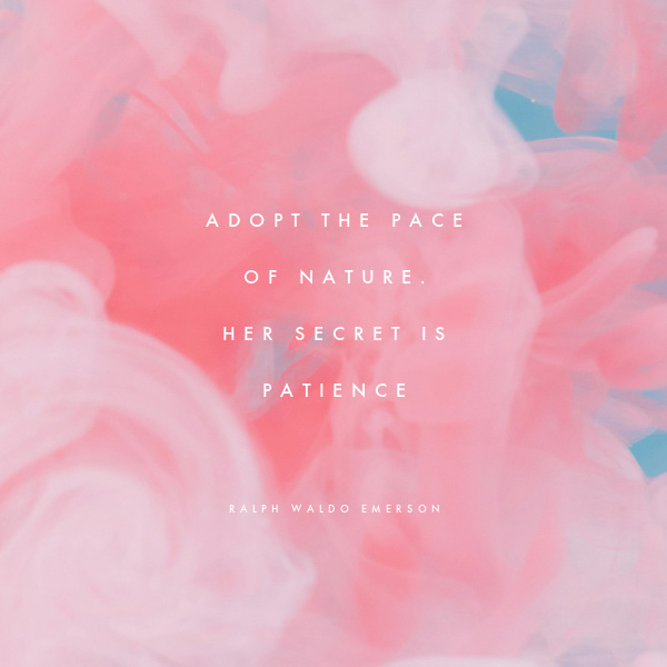 Quote Adopt the pace of nature her secret is patience.
