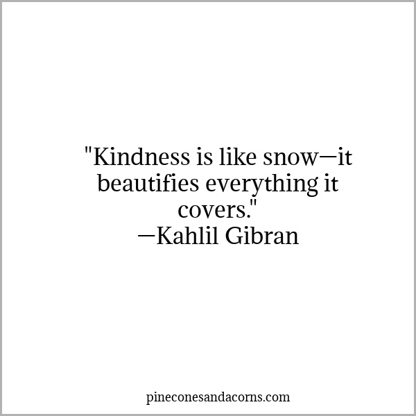 Quote Winter Kindness is like snow—it beautifies everything it covers.