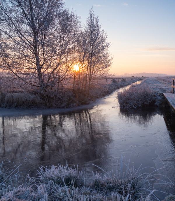 MONDAY MUSINGS NO. 106