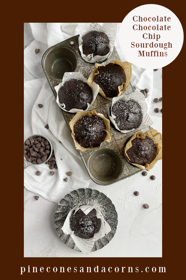 Sourdough chocolate muffins