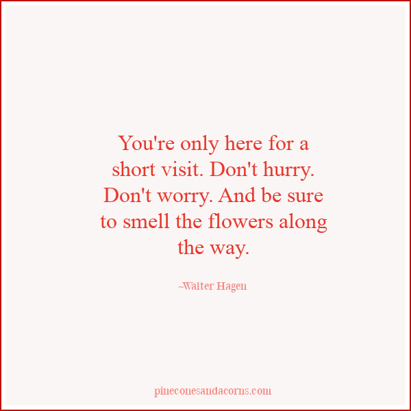 You're only here for a short visit. Don't hurry. Don't worry. And be sure to smell the flowers along the way.Walter Hagen