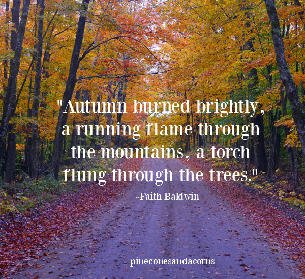 fall quote Autumn burned brightly, a running flame through the mountains, a torch flung through the trees.