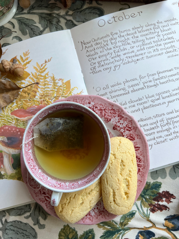 Martha Stewart, Sherlock & Pages, India Hicks, London is Pink, J. Crew and more on Weekend Meanderings.