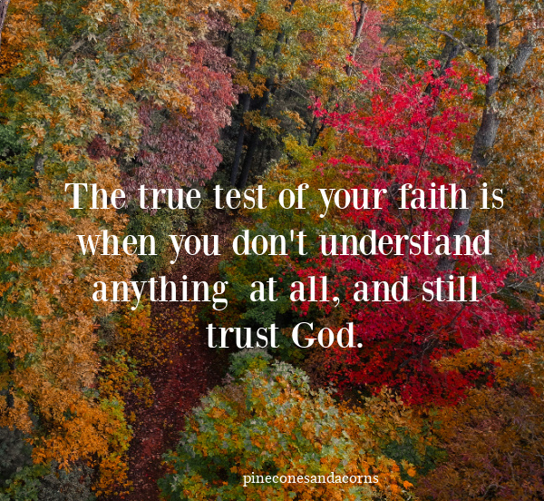 The true test of your faith is when you don't understand anything  at all, and still trust God.