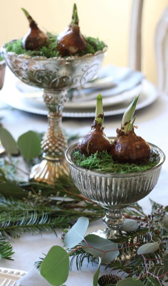 paper with bulbs in a mercury glass bowl with moss.